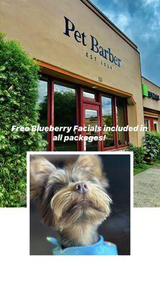 Who doesn't love a little extra pampering?Every grooming package comes with a free blueberry facial- because your pets deserve the best!