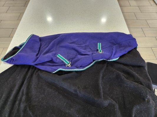 Blanket washed in 35 minutes on heavy duty extra rinse setting, $4.75 (quarters or credit card) on triple loader. 5-25-2023