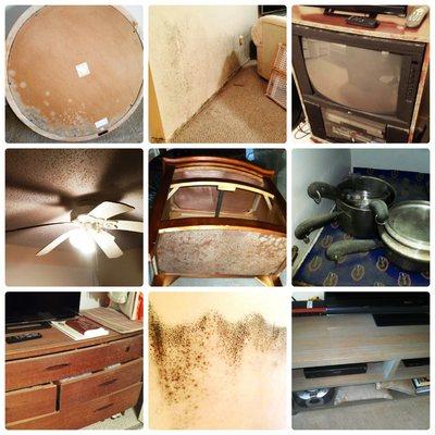 Mold happens within 72 hours of a leak!  Call us for your inspection if you suspect a leak or mold