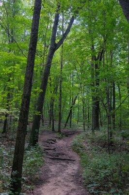 Pinckney Recreation Area