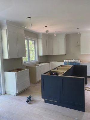 Gut renovation of kitchen with new island