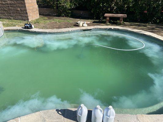 Phosphate treatment and green algae removal