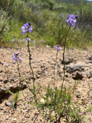 Blue Sky Ecological Reserve