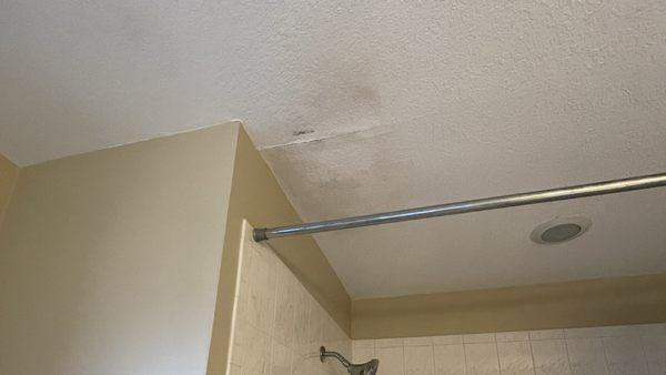 Unsafe Ceiling with mold ? cracks