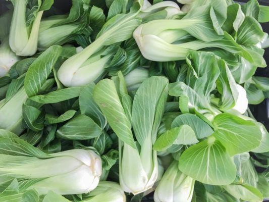 Bok choy