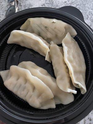 Raw potsticker