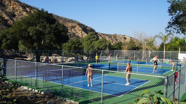 We have 3 Pickleball Courts and 6 Tennis courts. Plus Water Volleyball & Hard court Volleyball