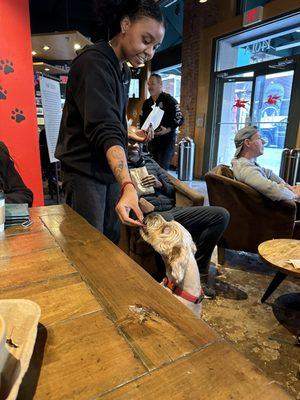 Coffee barista giving some bacon to one of the regular customer's dog