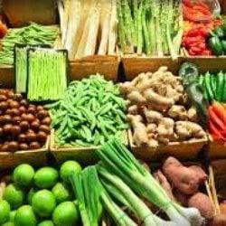 Best selection of fresh vegetables