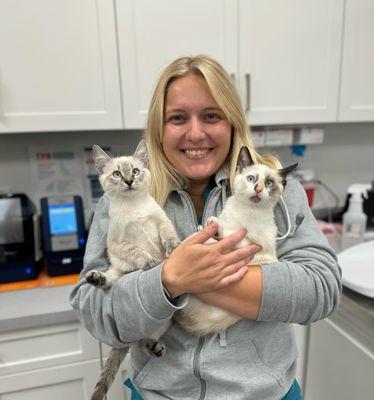 Check out these feline Siamese sisters! They came in for wellness exams and vaccinations.