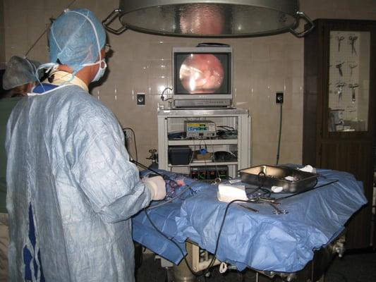 Dr. Brown performing laparoscopic surgery