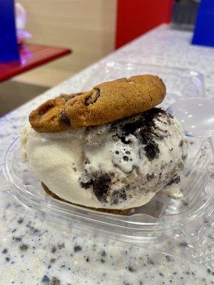 Ice Cream Sandwich