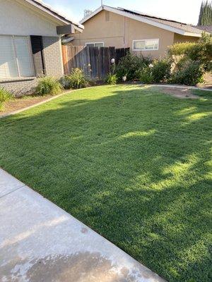 Lawn by Gardener's Supply