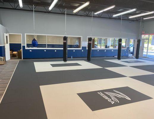 Beautiful, clean mats and brand new bags!