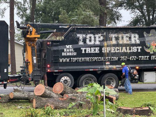 Thank you Top Tier Tree Specialist!!