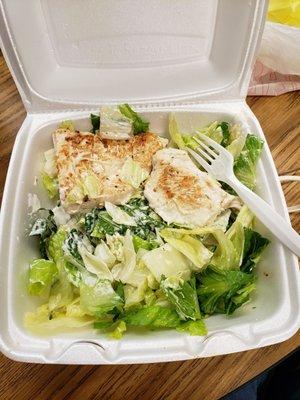 Chicken ceasar salad