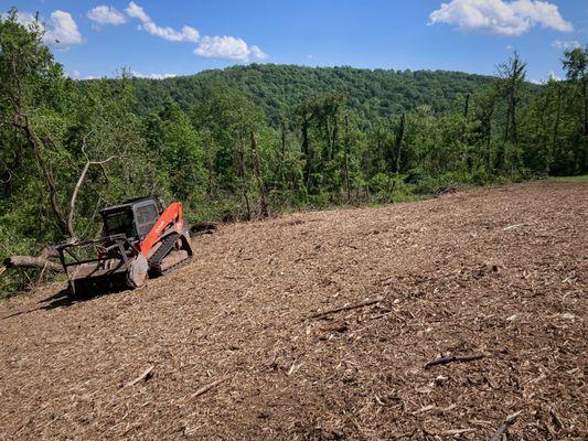 Forestry mulching is a form of land clearing that utilizes a single machine to carefully clear out vegetation from a designated area.