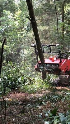 Forestry Mulching. Removing small trees with the skid steer.