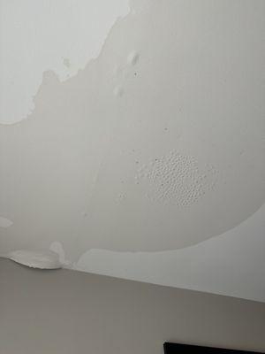 Water damage/mold