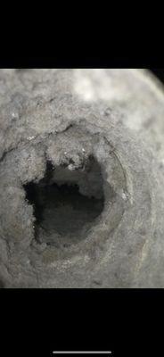 Picture of inside the pipe (dryer vent) clogged