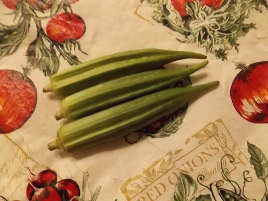 Heirloom Okra Seeds to helps prevent Breast Cancer