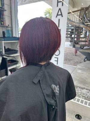 Cut and color by ivy