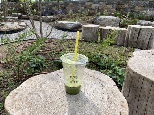 Green Guru Smoothie at the New Canaan Library garden