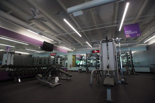 The free weight area is set up to be simple enough for novices, while also providing advanced features for athletes