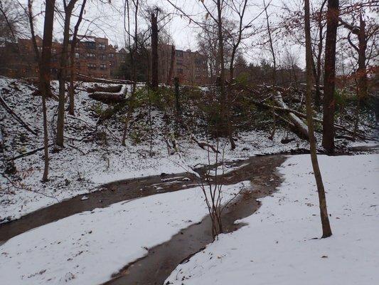 First snow of the winter