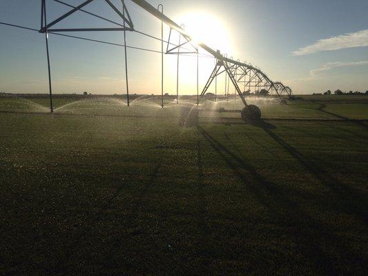 Farm Evening photo, Roggen Colorado