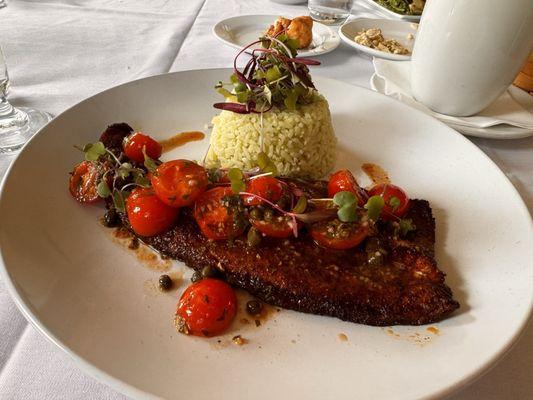 Blackened trout