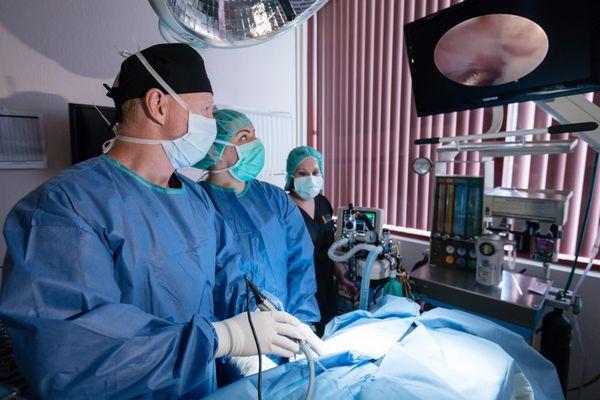 Our board-certified surgeons are skilled in many cutting edge procedures, including arthroscopy.