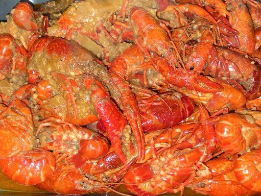 Crawfish