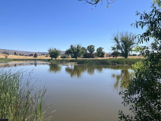 Horse Thief Park