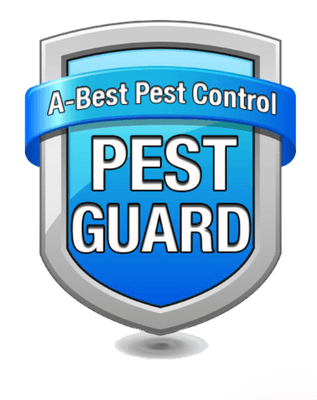 Pest Guard is our 12- month protection plan.  Call us to discuss it further.