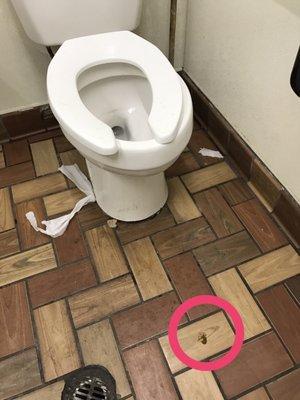 feces on the floor.  clerk lisa shrugged it off when notified.  shut this disgusting hell hole down!!!!