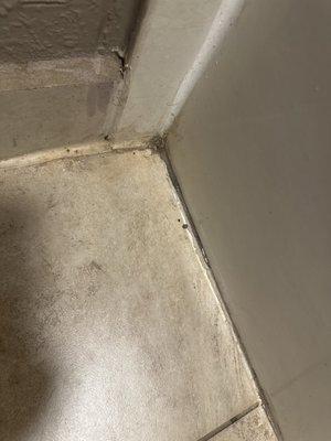 Bathroom floor