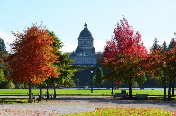 The Capital building.