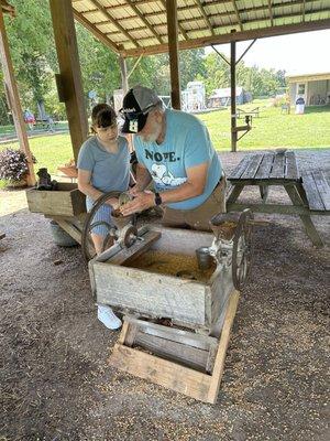 Making feed corn for the animals.