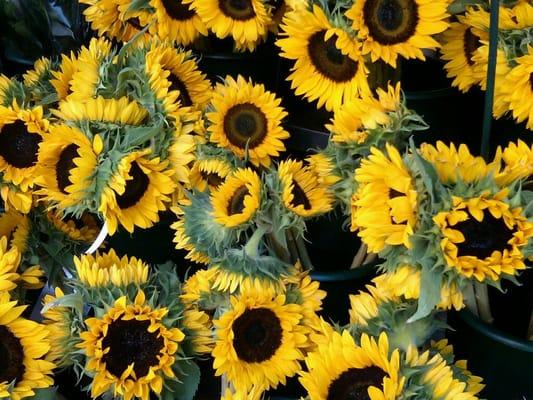 Flowers sold at the Murray Hill Market