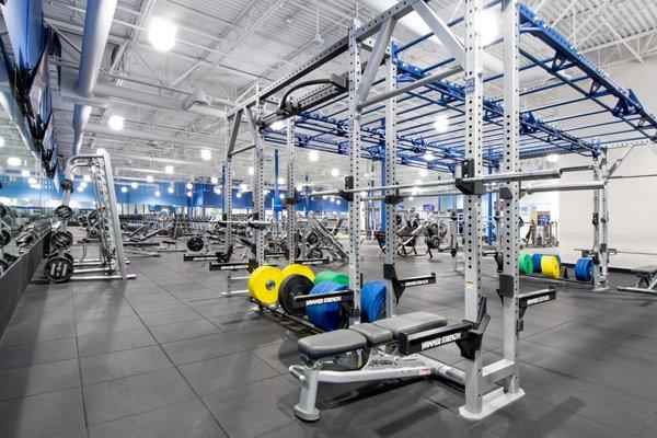 Fitness 19 Squat Racks Equipped with Bumper Plates