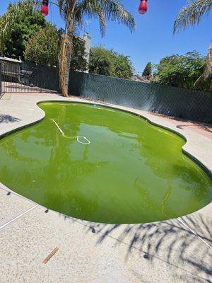 Green pool season don't let your pool get away from you.. give us a call