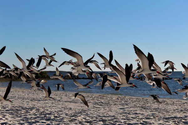 Fort Island Trail Beach