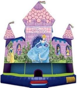 Disney Princess Castle