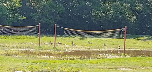 Heavy rains can lead to puddles in unexpected places