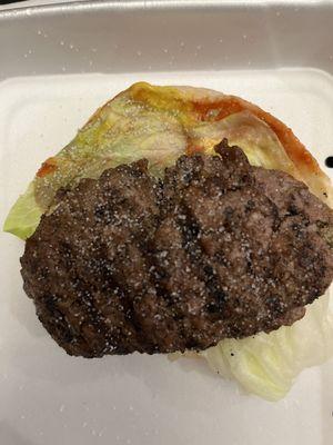 This is the most sorry excuse for a double meat hamburger in the world!