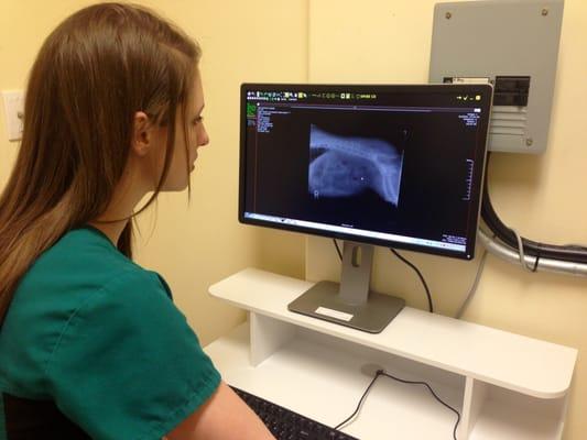 Digital X-rays offer the best quality of pet care