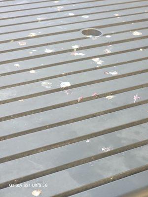 Table filled with bird crap by the pool