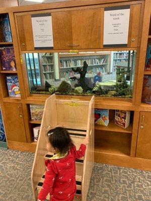 Children's room fish tank with a step stool for the littles to climb up on their own!