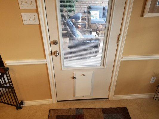 Replacement Door W/Mini-Blinds and Built-in Pet Door